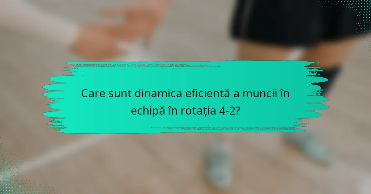 Care sunt dinamica eficientă a muncii în echipă în rotația 4-2?