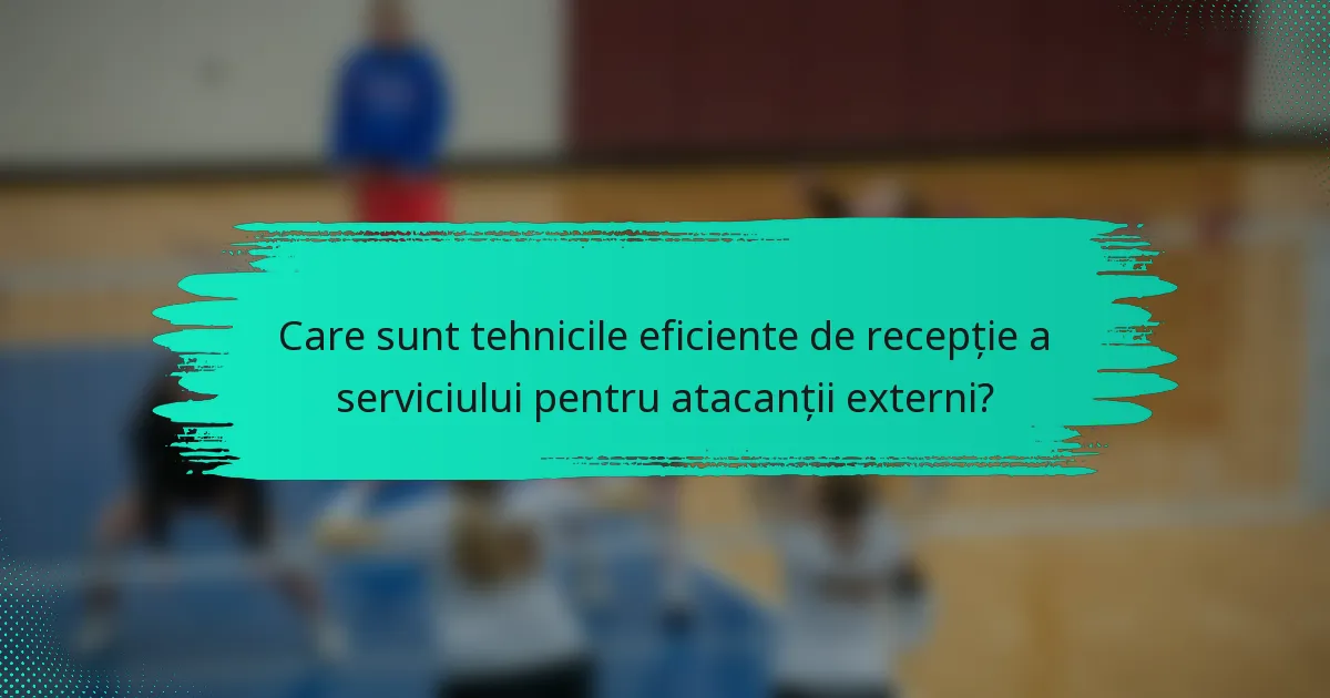 Care sunt tehnicile eficiente de recepție a serviciului pentru atacanții externi?